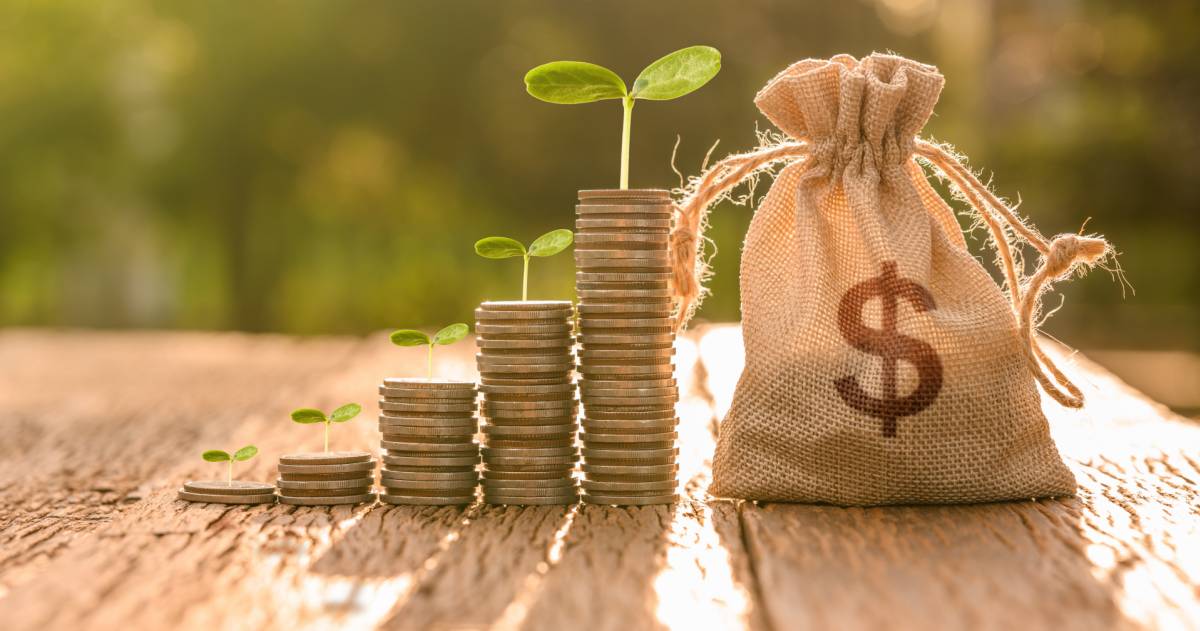 stapel met geld waar een plantje uitgroeit